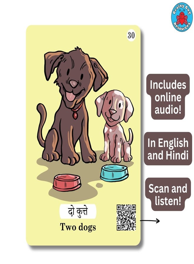Brainy Bug Resources Hindi Flashcards with Online Audio | Bilingual Text and Audio | 70 Words and Phrases | Action Words, Animals, Family Members, Numbers, Colours | Special Needs Kids - Image 4